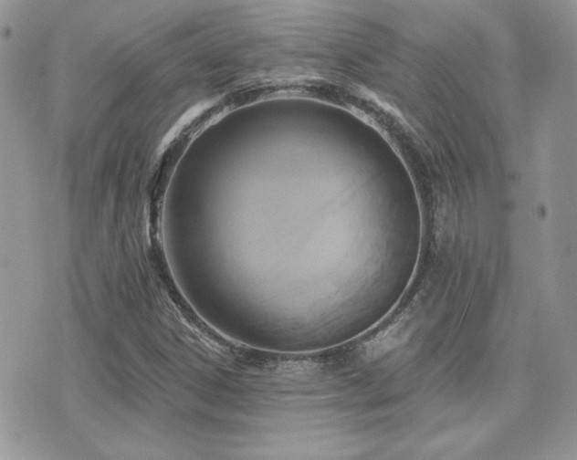 X0000071911306200607071122