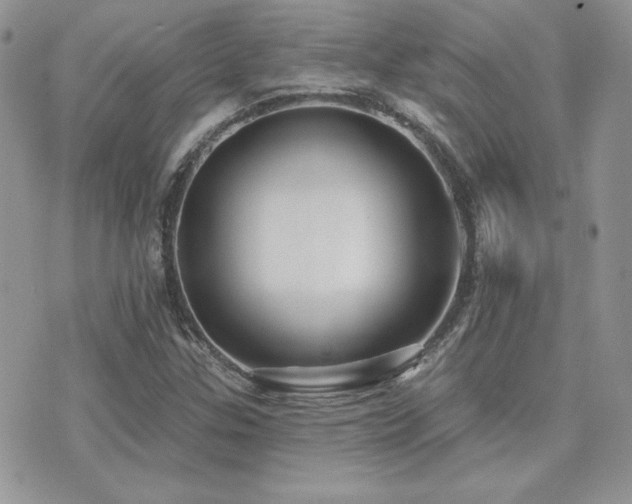 X0000071911307200607071122