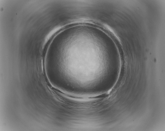 X0000071911320200607071122