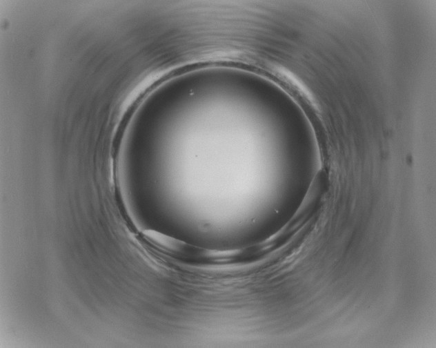 X0000071911324200607071122