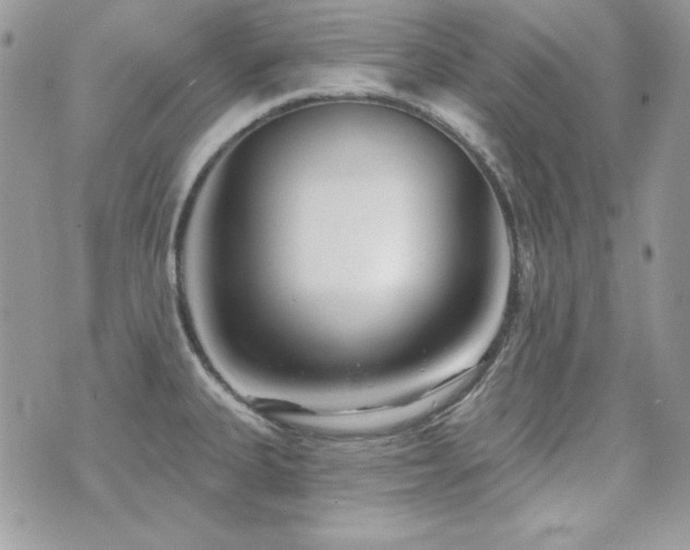 X0000071911335200607071122