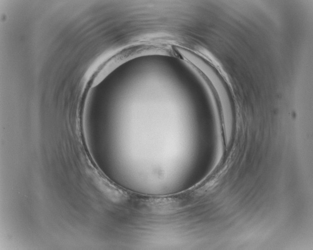 X0000071911336200607071122