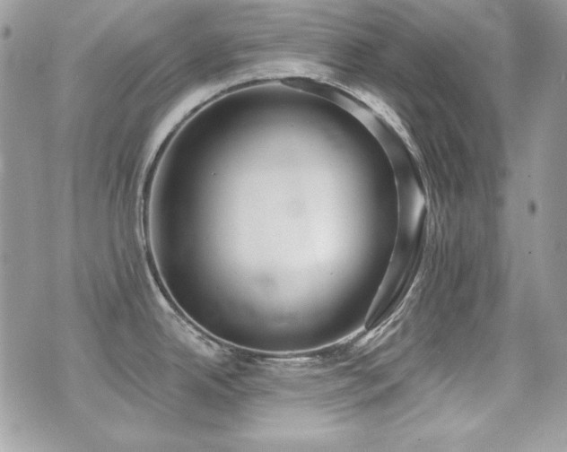 X0000071911342200607071122