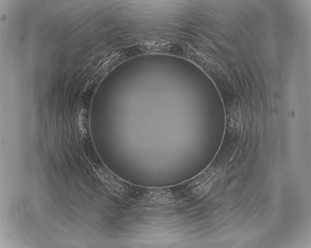 X0000071911346200607071122