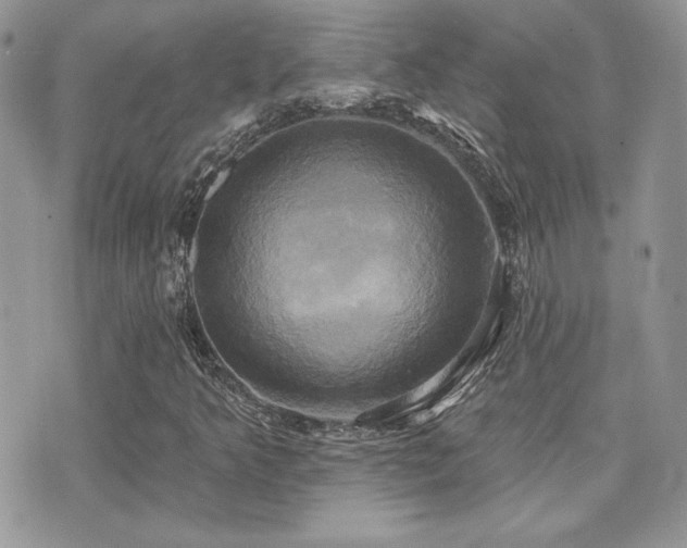 X0000071911349200607071121