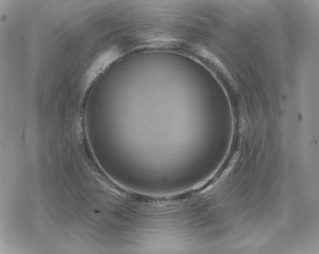 X0000071911362200607071121