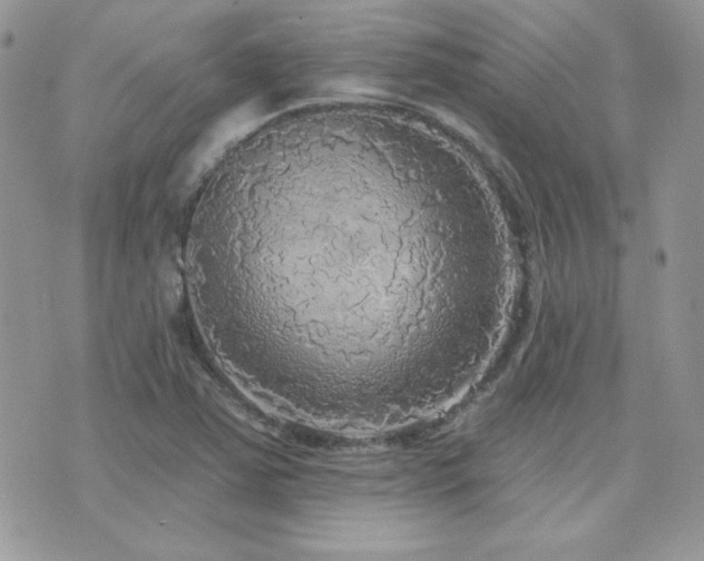 X0000071911363200607071121