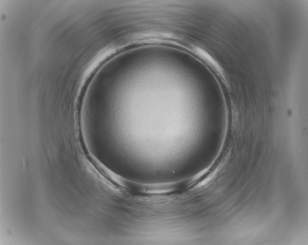 X0000071911384200607071121