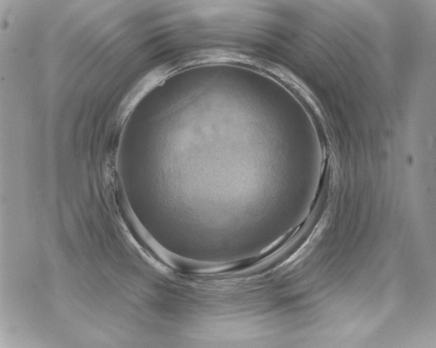 X0000071911385200607071121