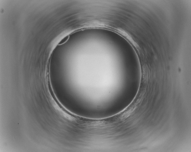 X0000071911387200607071121