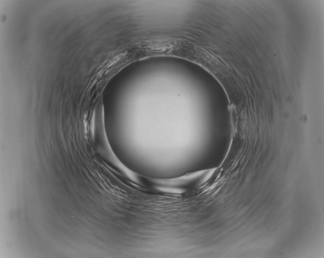 X0000071911394200607071120