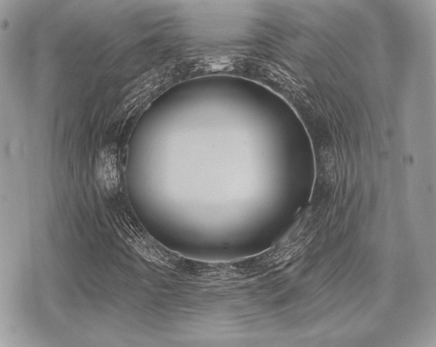 X0000071911442200607071120