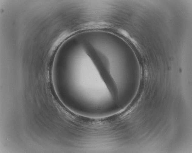 X0000071911459200607071120