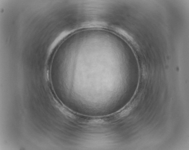 X0000071911462200607071120