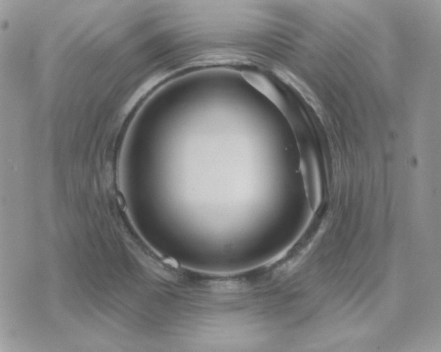 X0000071911465200607071120
