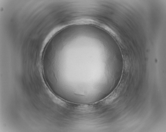 X0000071911478200607071119