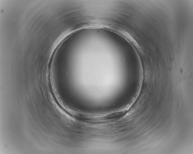 X0000071911484200607071119