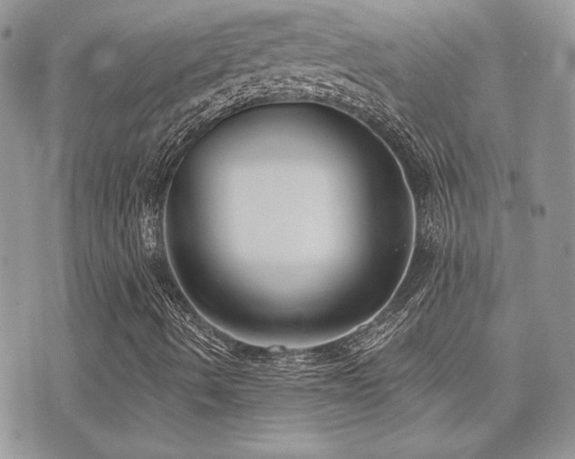 X0000071911490200607071118