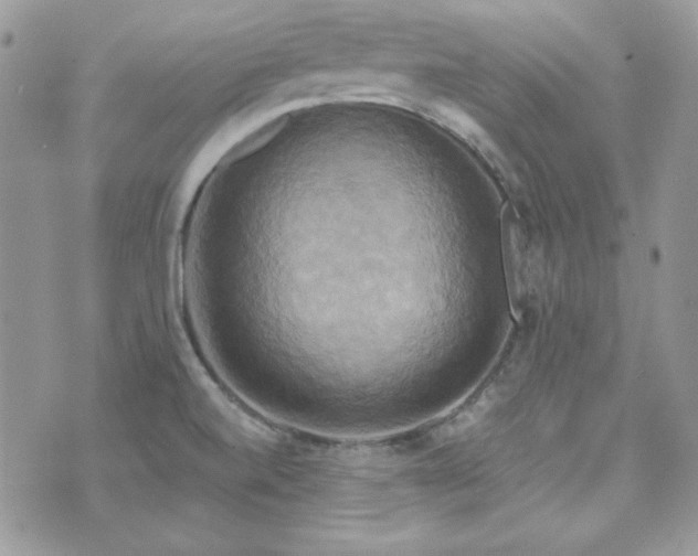 X0000071911520200607071119