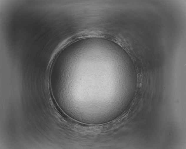 X0000071910004200607141412