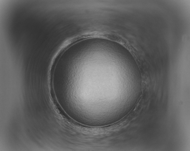 X0000071910006200607141412