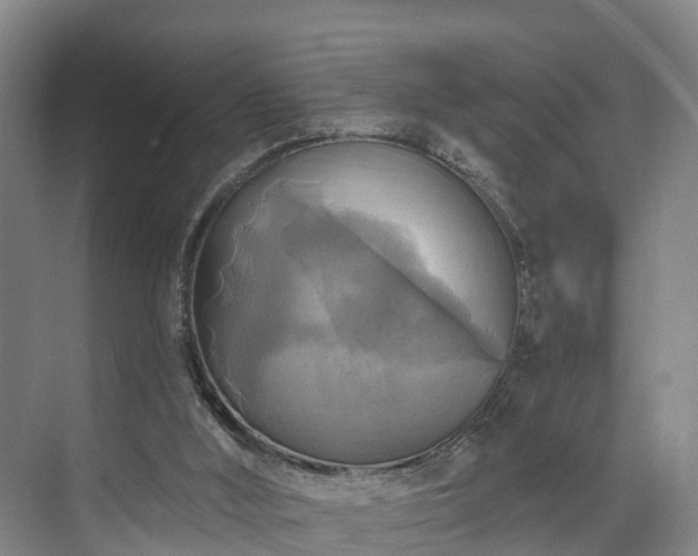 X0000071910012200607141412