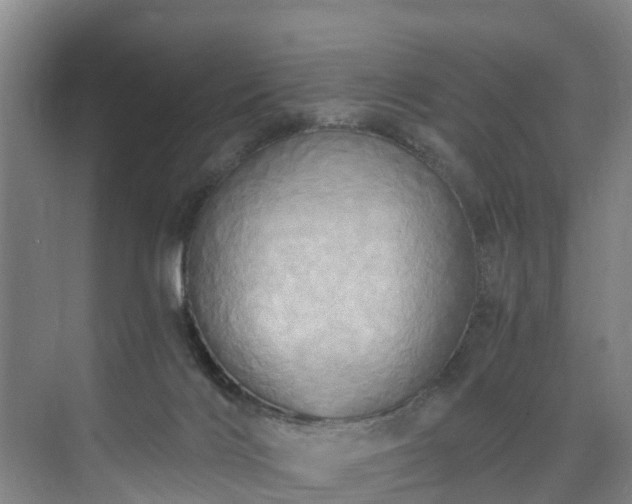 X0000071910028200607141412