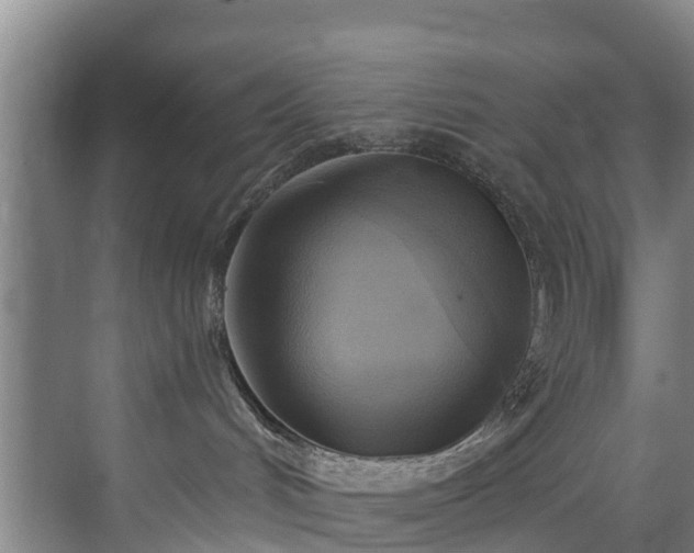 X0000071910048200607141411