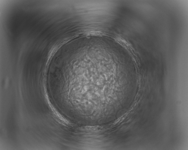 X0000071910049200607141410