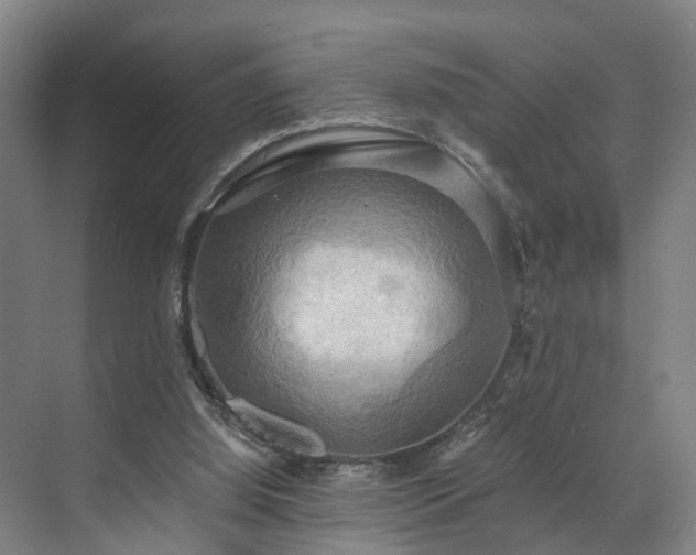 X0000071910060200607141411