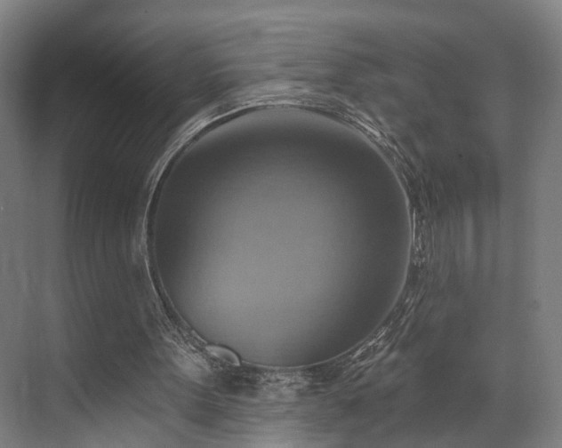 X0000071910099200607141410