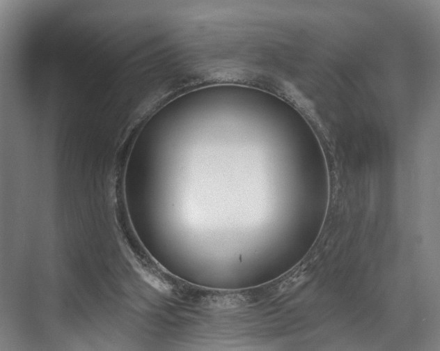 X0000071910106200607141410