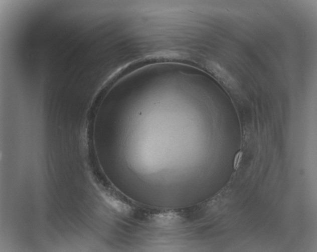 X0000071910112200607141410