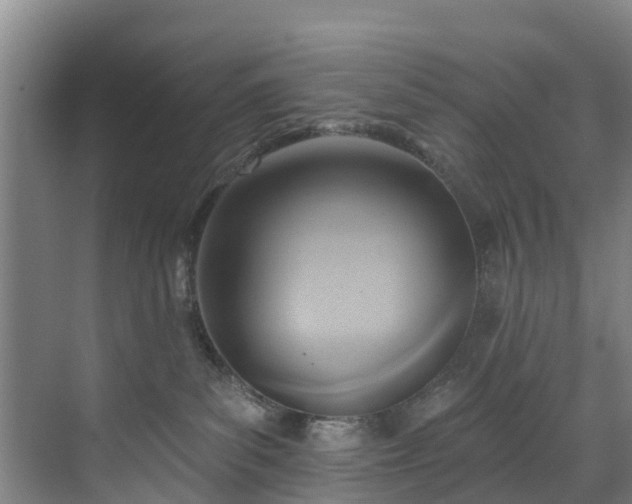 X0000071910139200607141410