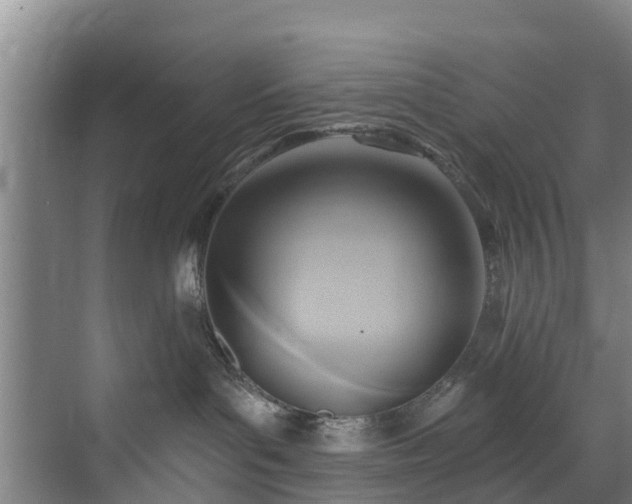 X0000071910143200607141410