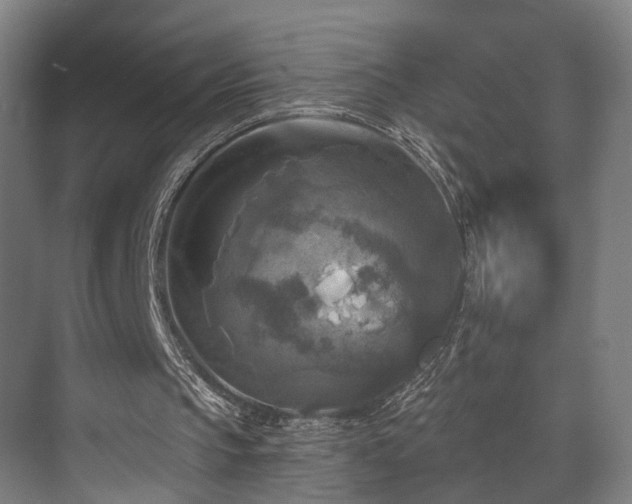 X0000071910145200607141409