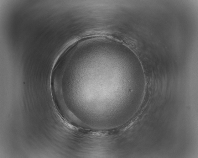 X0000071910148200607141409