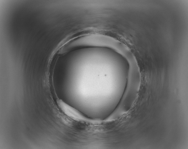 X0000071910150200607141409