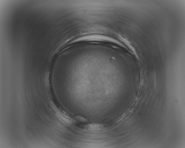 X0000071910154200607141409