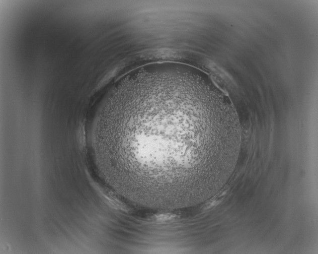 X0000071910158200607141409