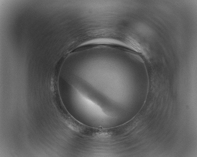X0000071910161200607141409