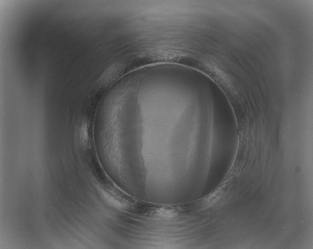 X0000071910166200607141409