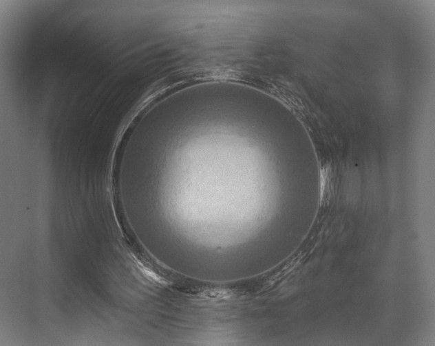 X0000071910195200607141409