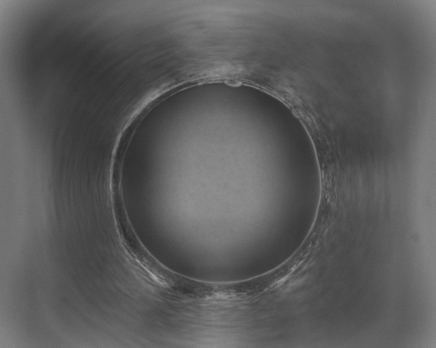 X0000071910196200607141409