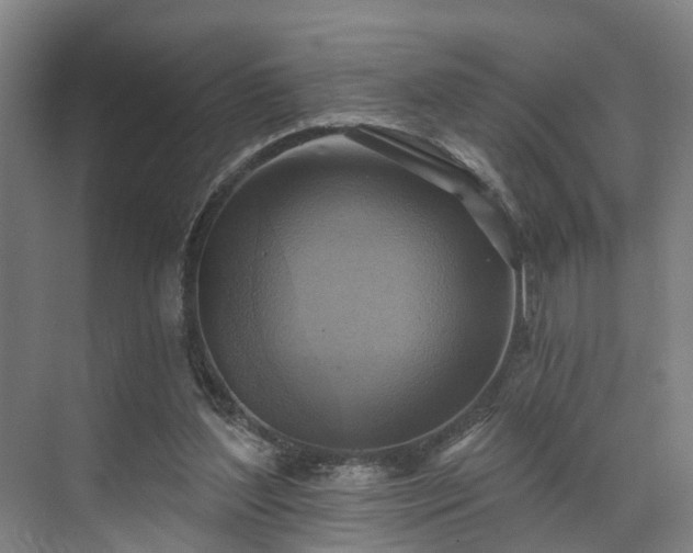 X0000071910204200607141409