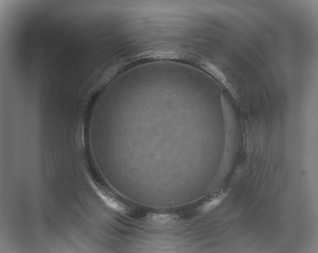 X0000071910205200607141409