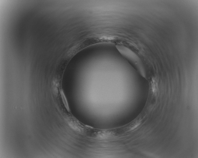 X0000071910235200607141408