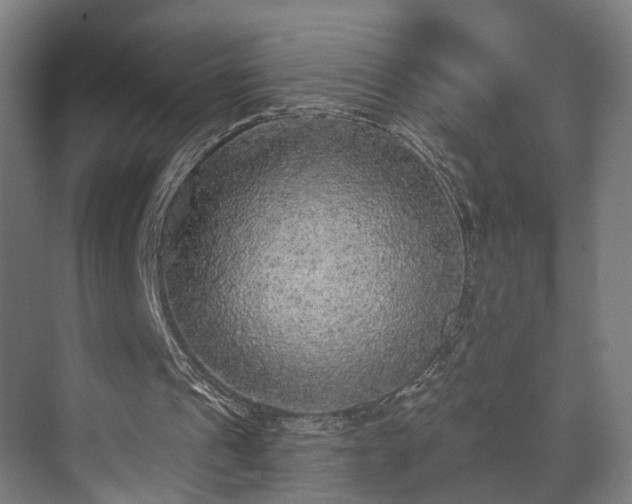 X0000071910241200607141407