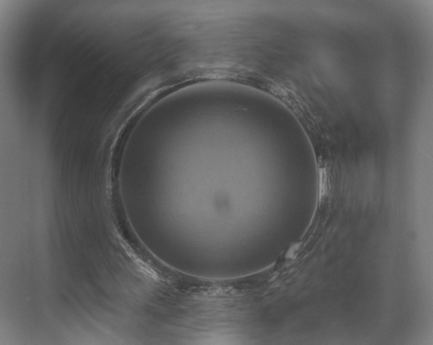 X0000071910243200607141407