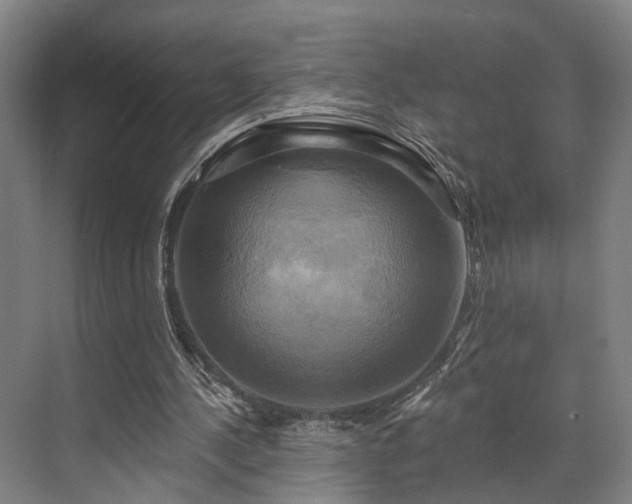 X0000071910244200607141407